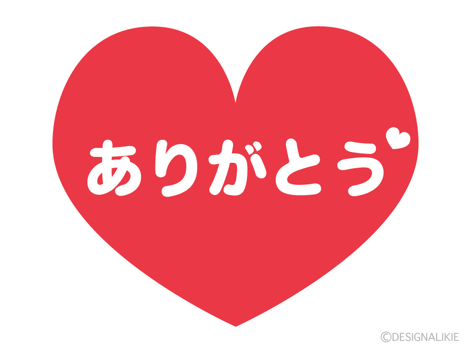 ❤︎本日のお礼❤︎メイン画像