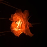 ⭐︎退勤しました⭐︎次のブログ