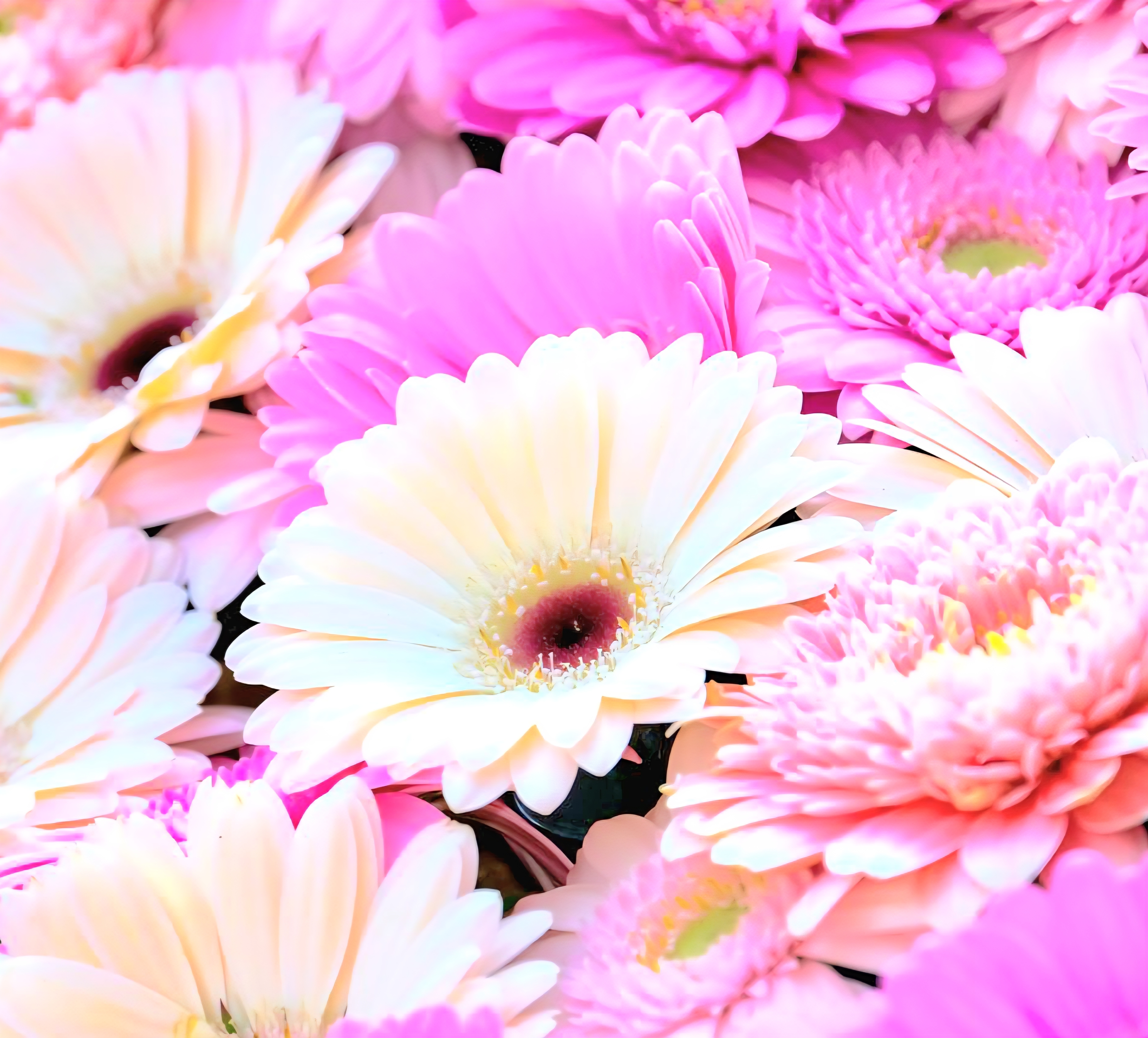 出勤いたしましたメイン画像