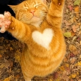 3M〜3Day'sメンズエステホームページ立ち上げプロジェクト〜