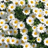 3M〜3Day'sメンズエステホームページ立ち上げプロジェクト〜