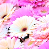 3M〜3Day'sメンズエステホームページ立ち上げプロジェクト〜