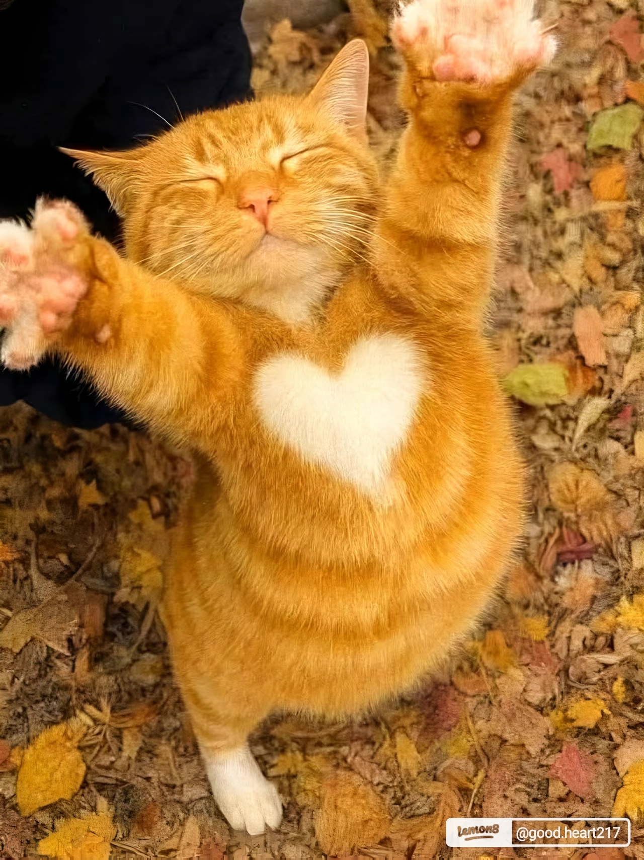 本日は蕨roomだよ(´・ω・｀)メイン画像