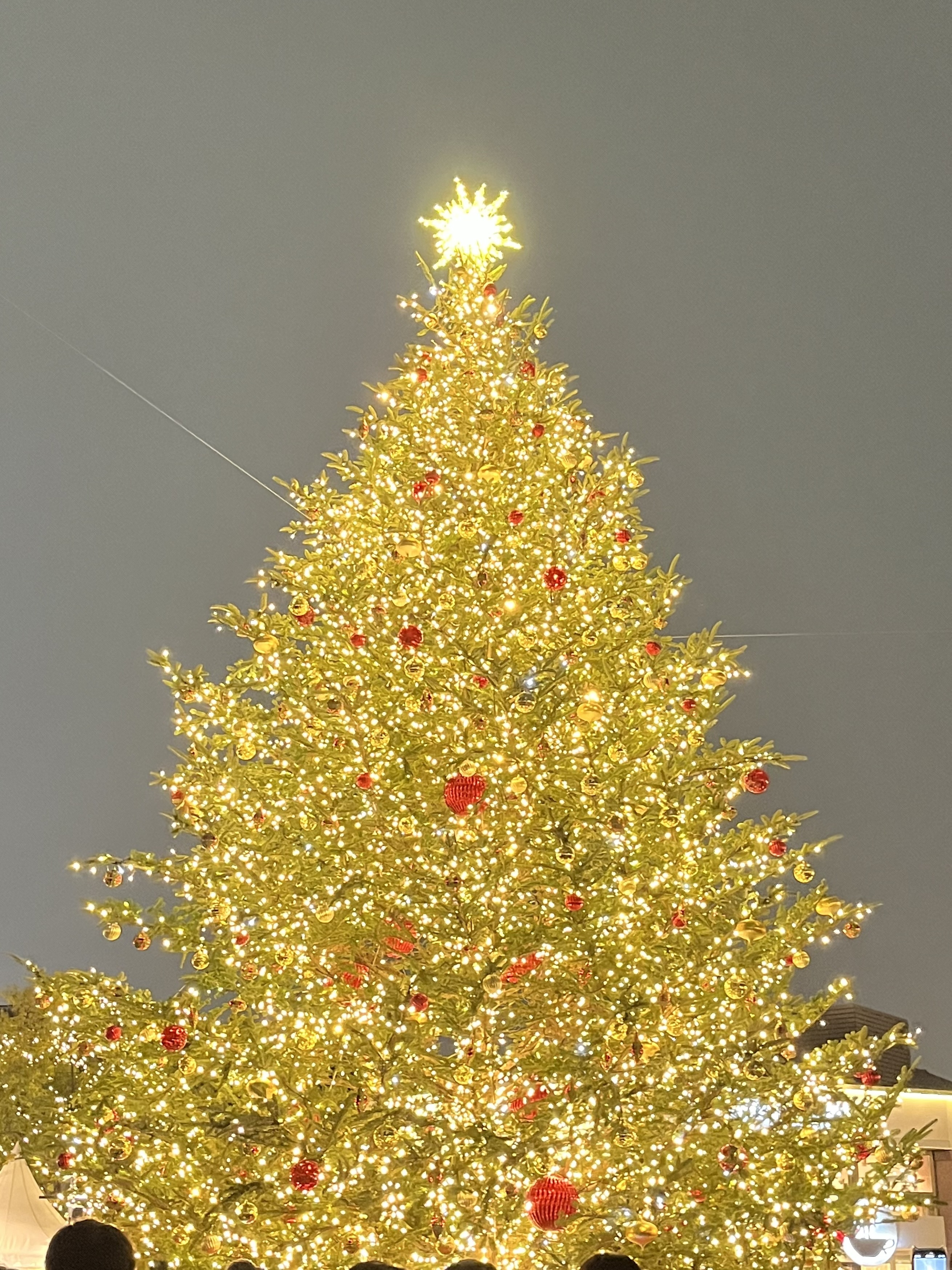 27日(土)の出勤情報✩.*˚メイン画像