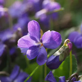 3M〜3Day'sメンズエステホームページ立ち上げプロジェクト〜