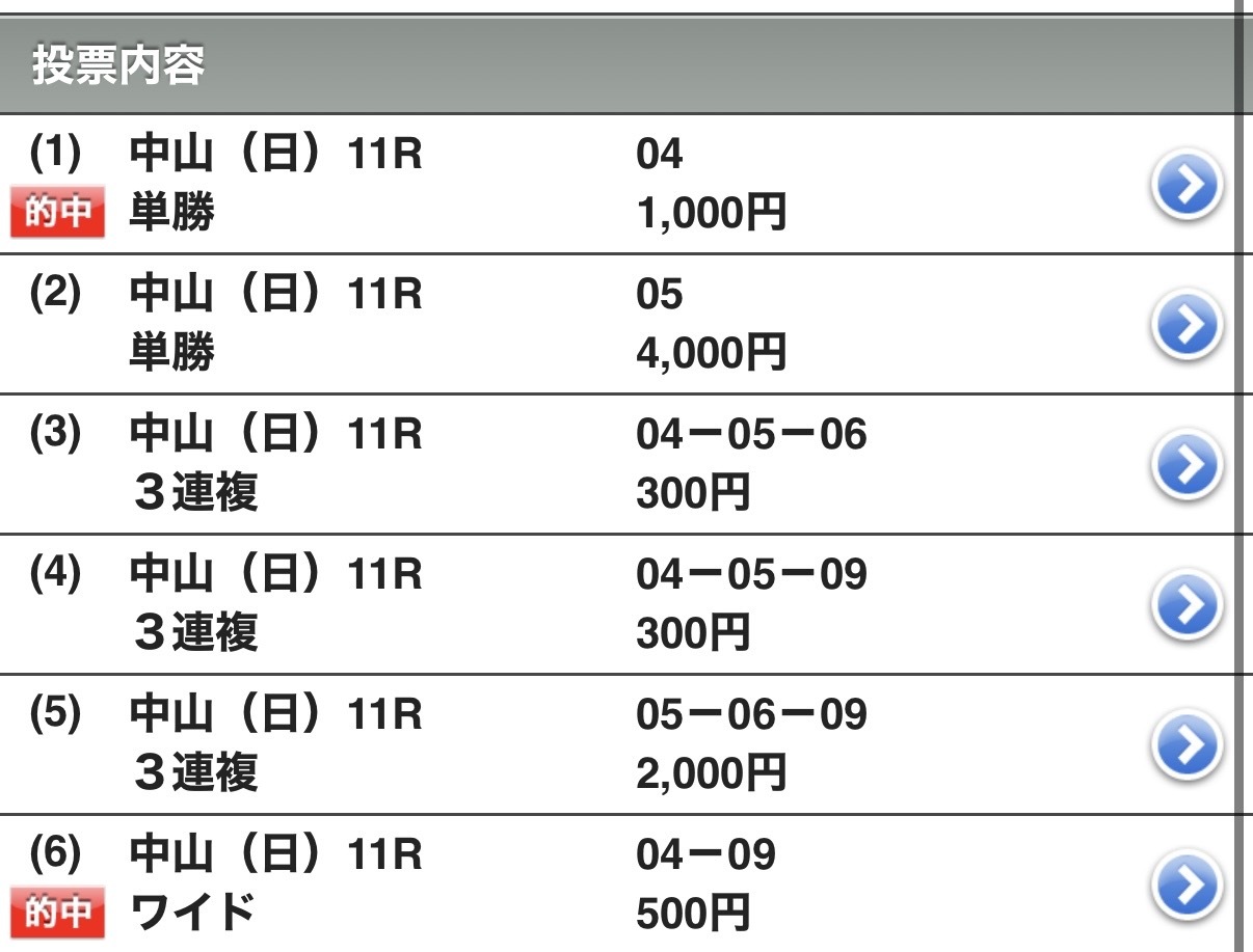 有馬記念メイン画像