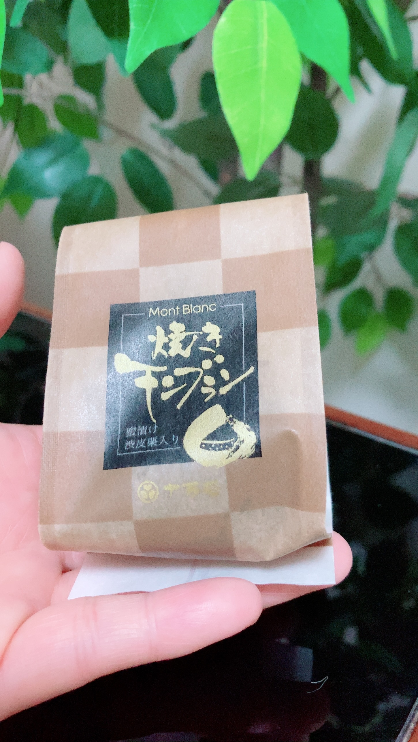 ◌*॰ॱ  初 (˶°口°˶)ひのみやのブログです  ◌*॰メイン画像