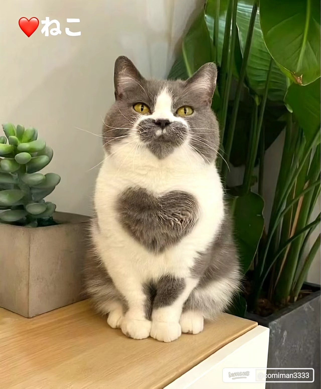 赤羽に居るよ(*^^*)メイン画像