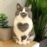 赤羽に居るよ(*^^*)前のブログ