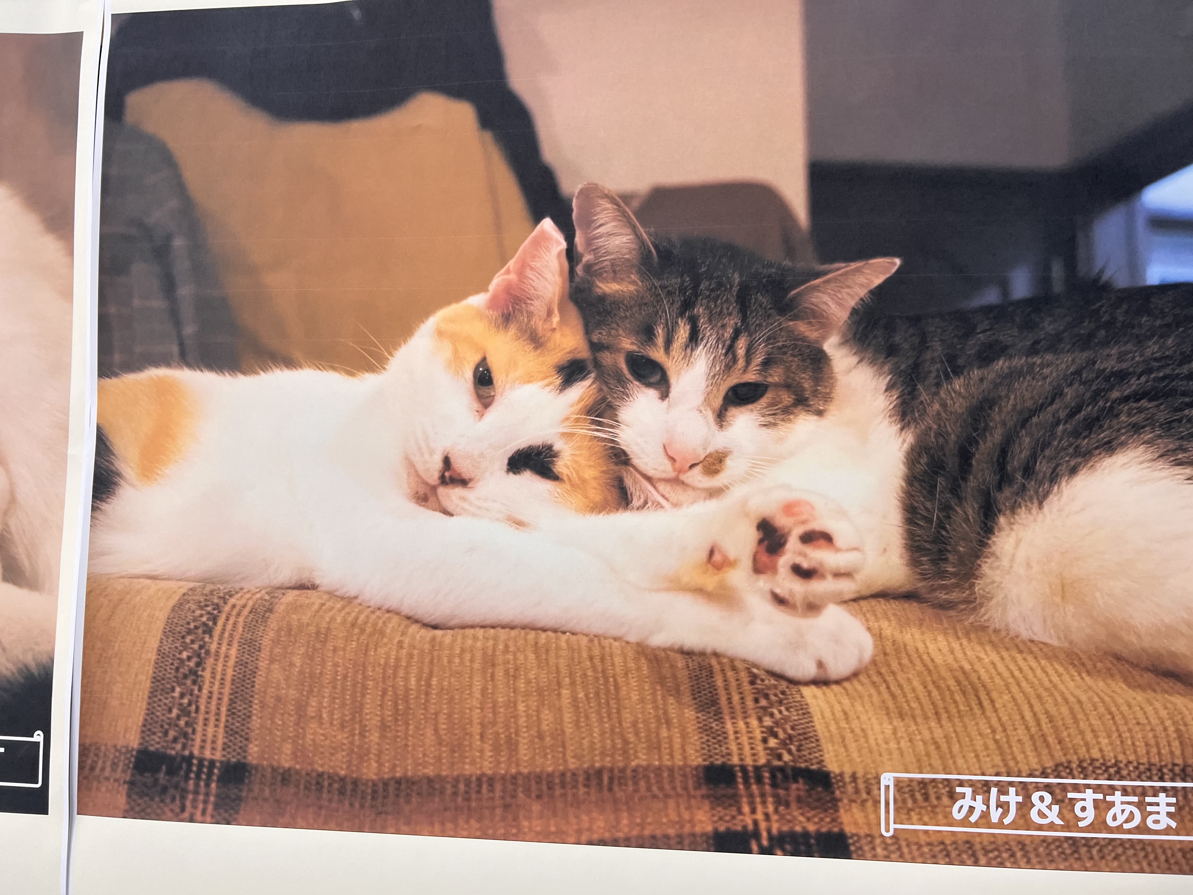 2/2お礼_蒼井メイン画像