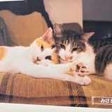 メンズエステブログ - 2/2お礼_蒼井