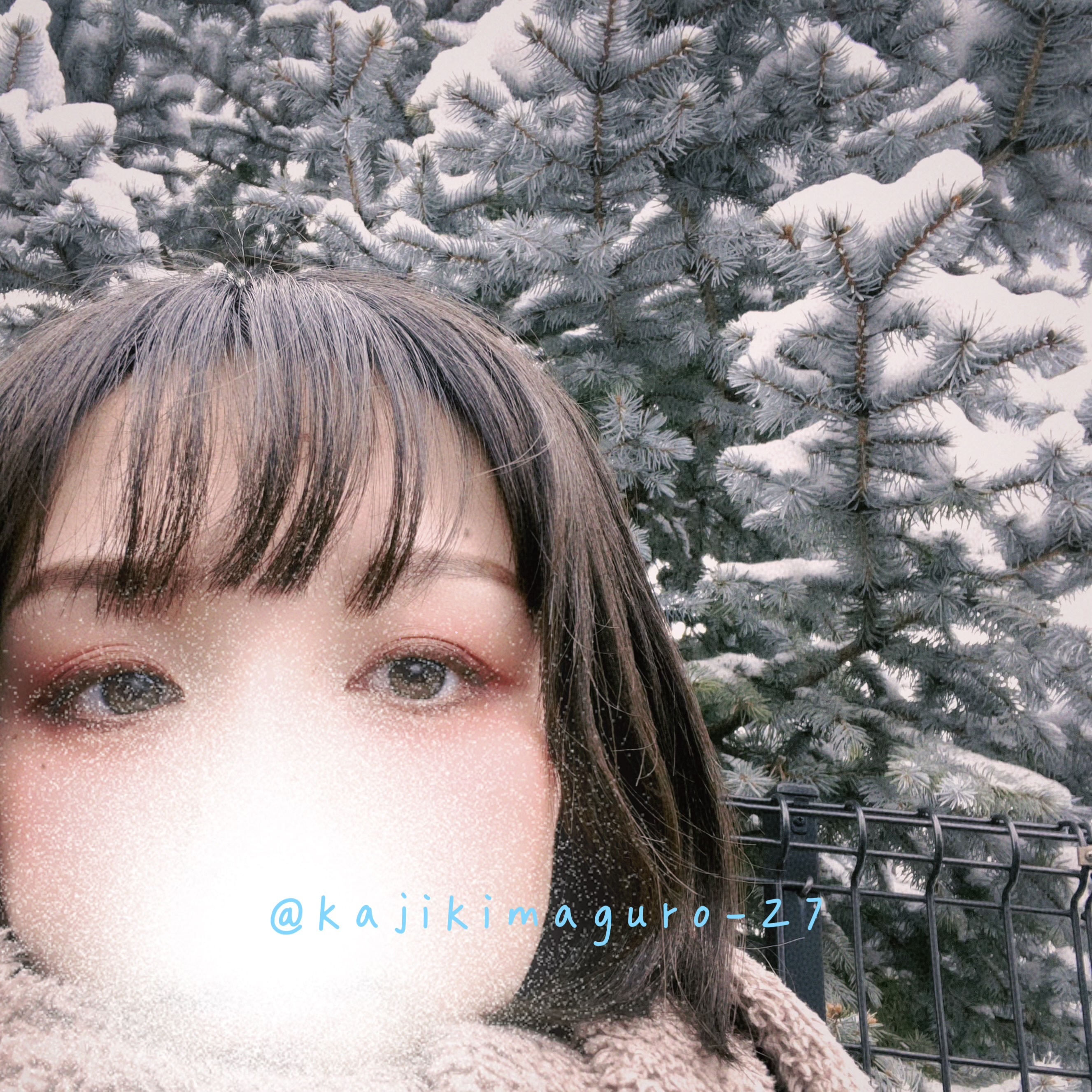 投票うぃってメイン画像