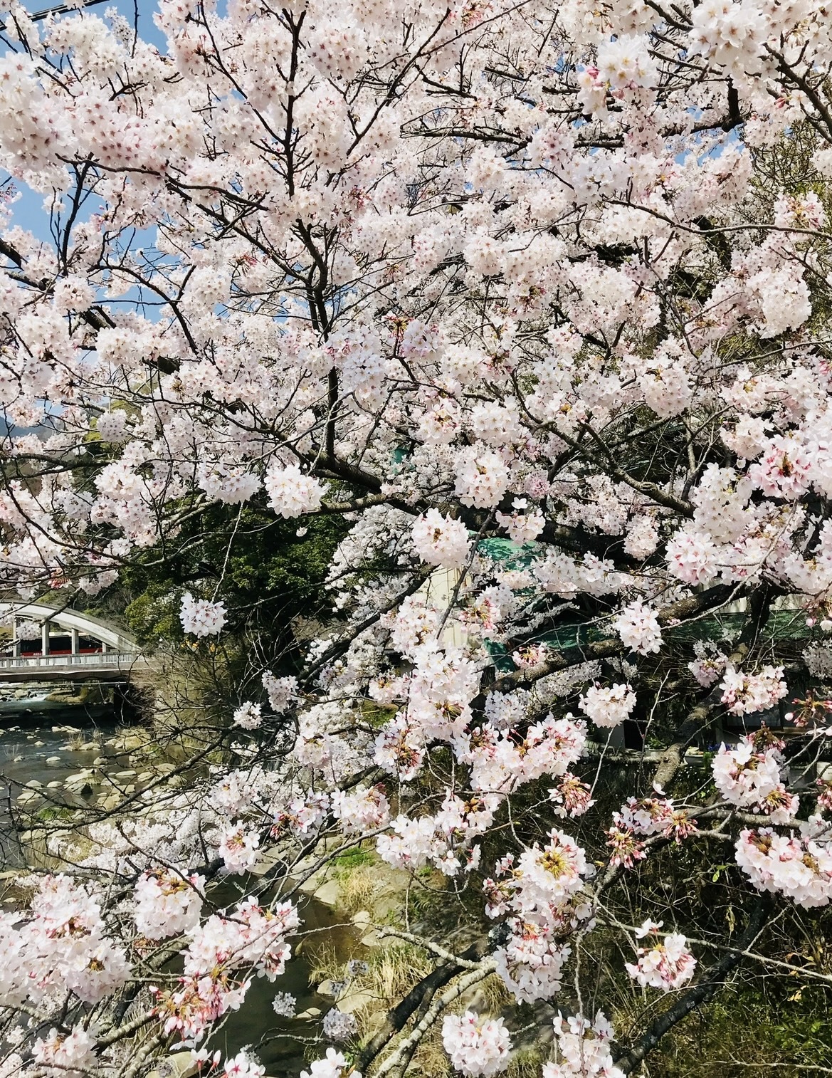 2/17お礼❤️‍🔥メイン画像