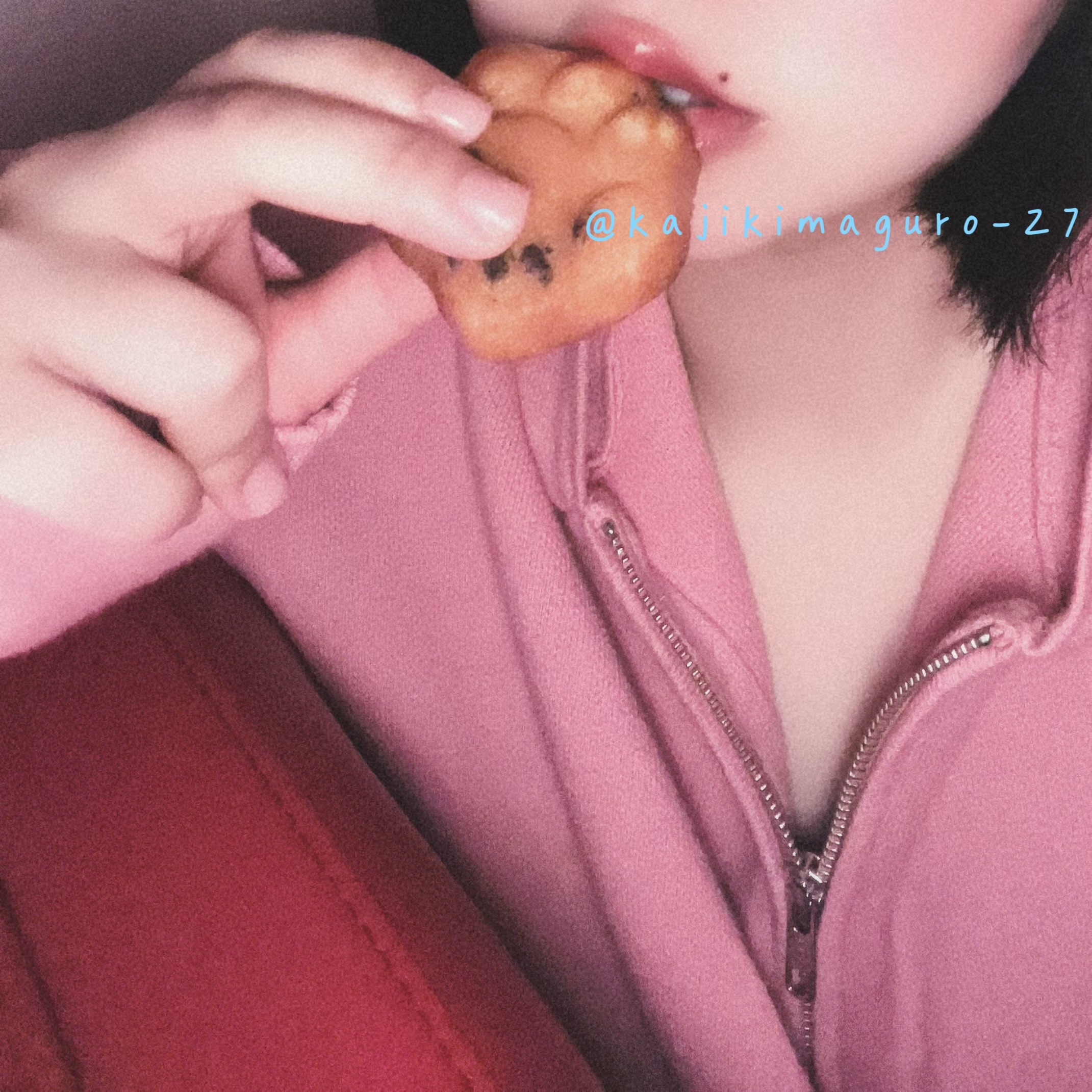 猫の日だょメイン画像