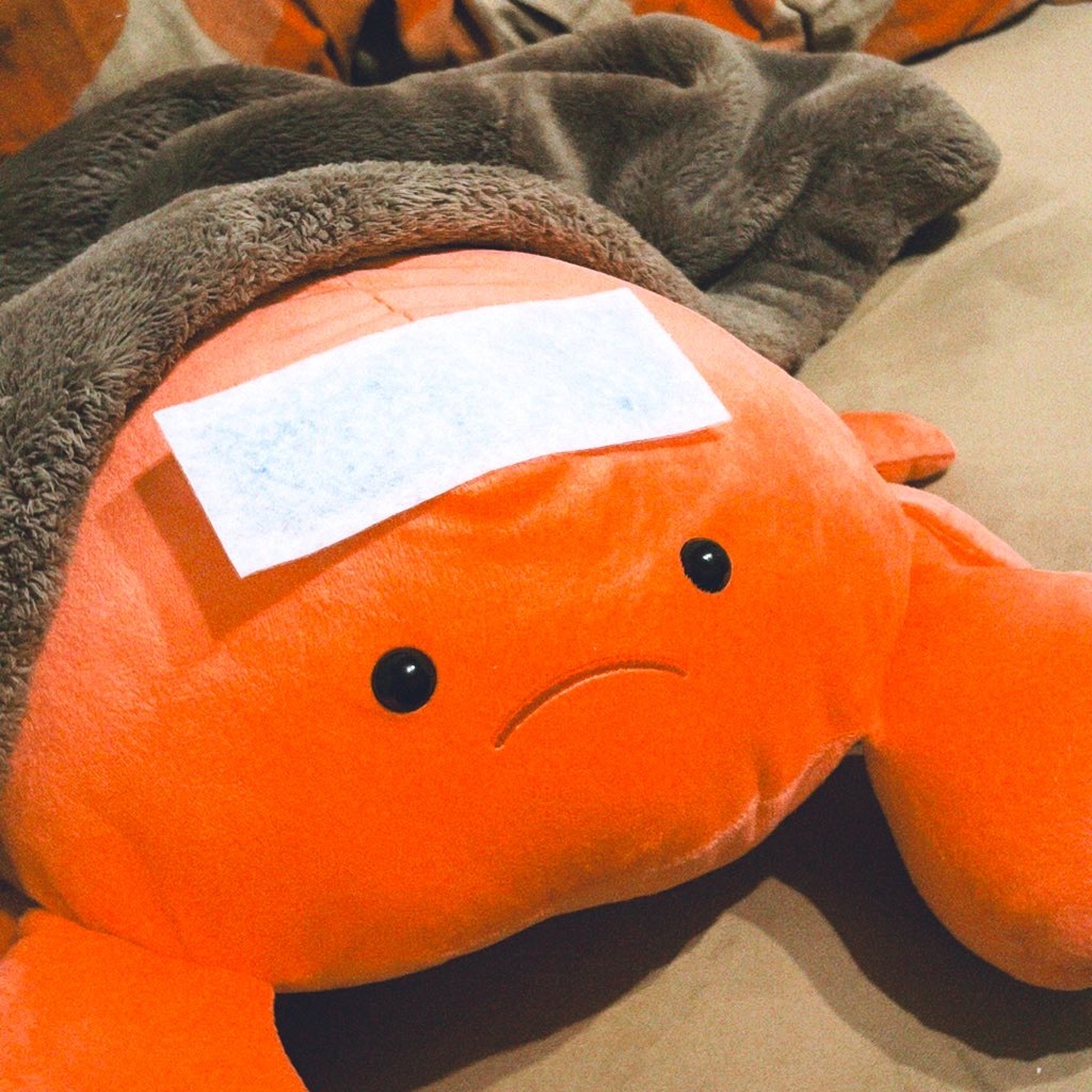 本日お休みです💦メイン画像