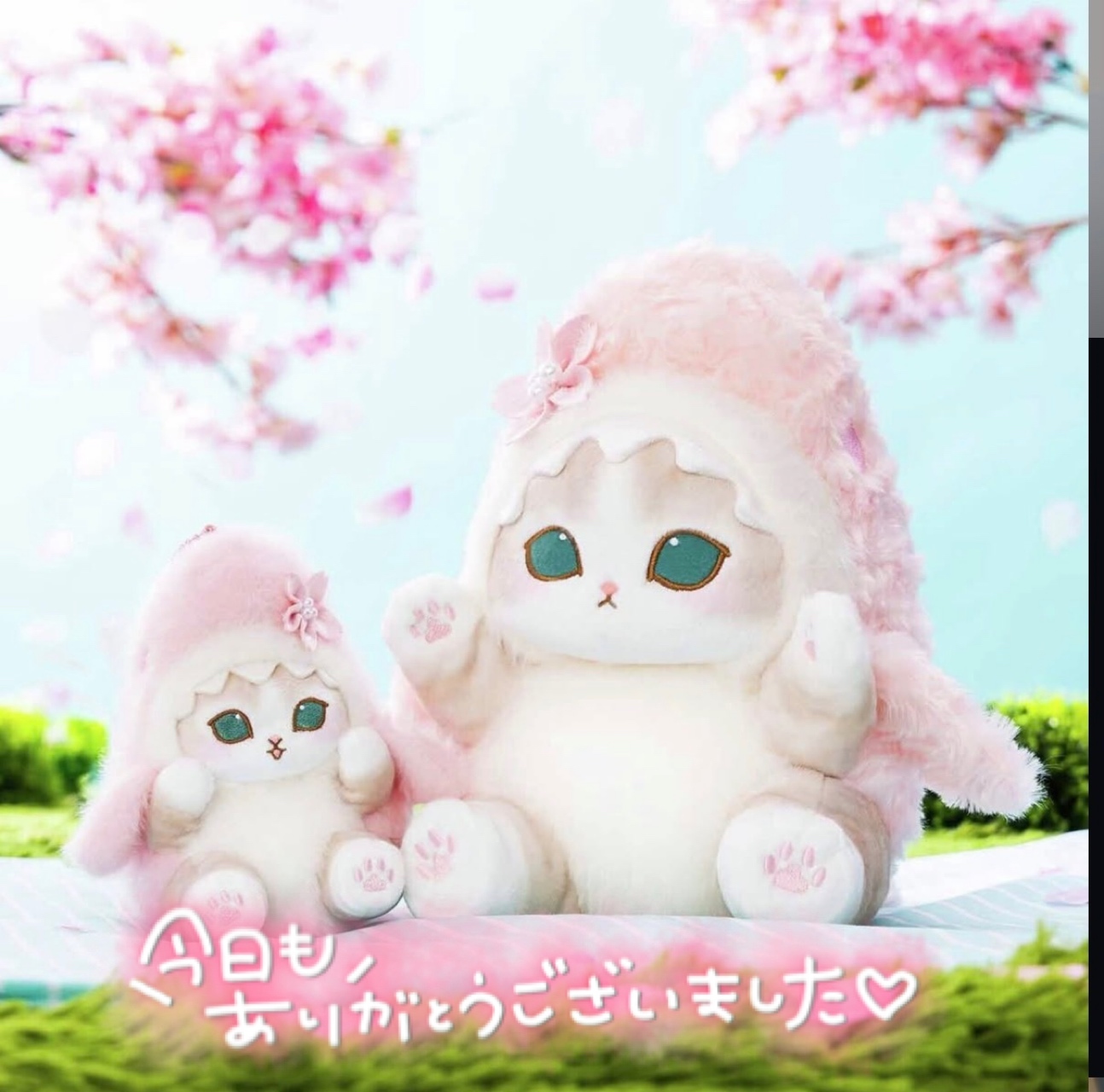 ⭐︎3/23のお礼⭐︎メイン画像