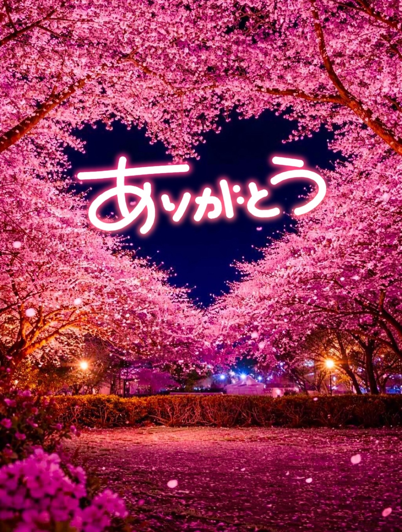 ⭐︎退勤しました⭐︎メイン画像