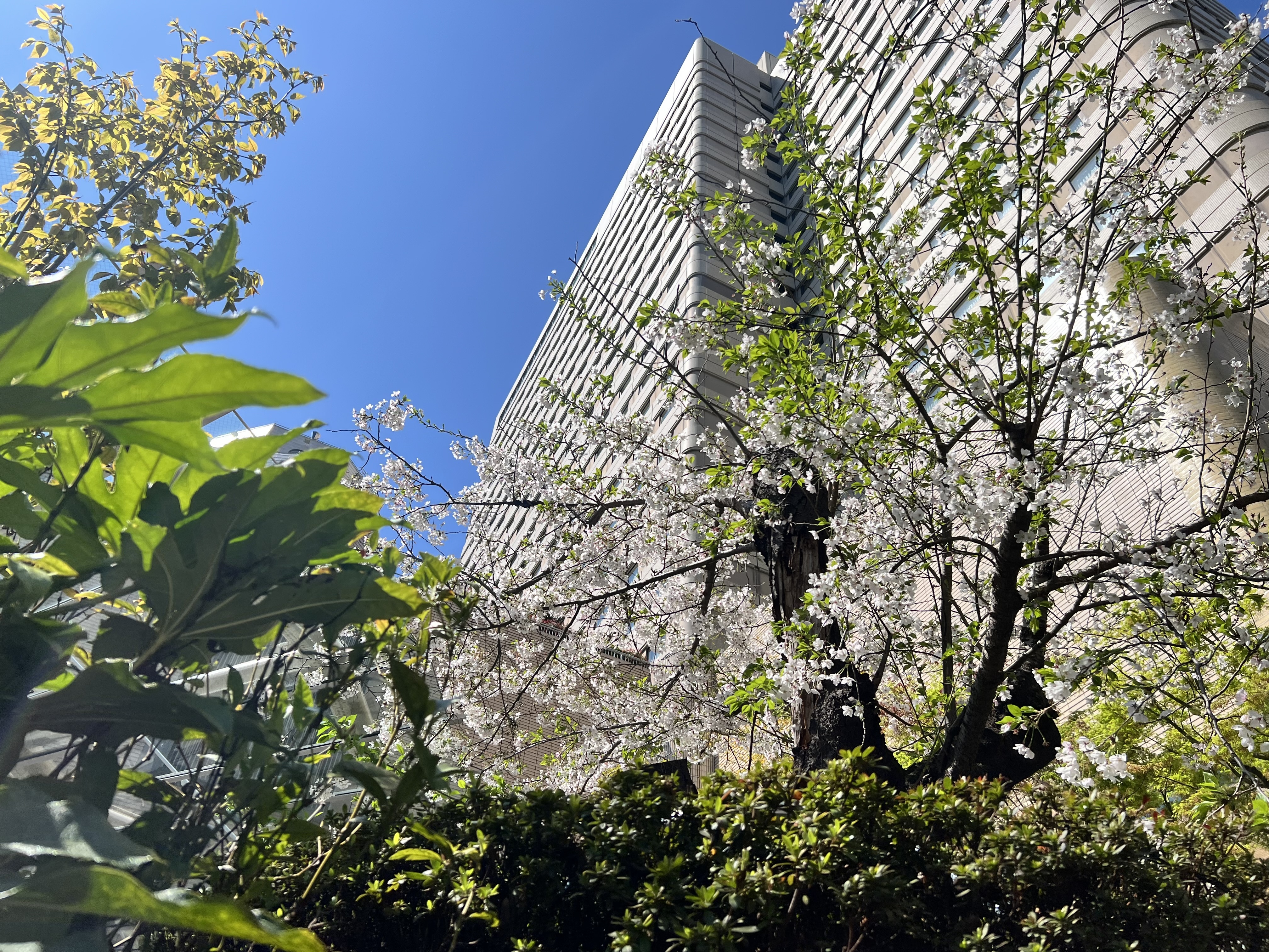 本日お礼🙏🙏メイン画像