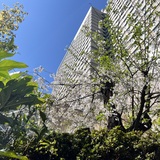 メンズエステブログ - 本日お礼🙏🙏